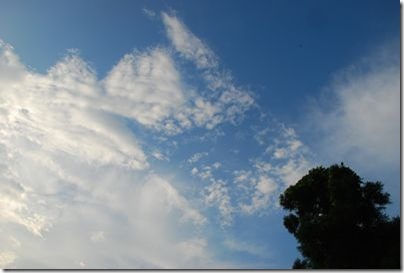 青い空