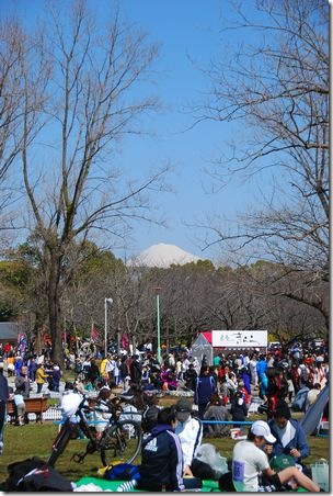 駿府公園