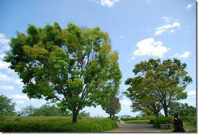 風が強かった