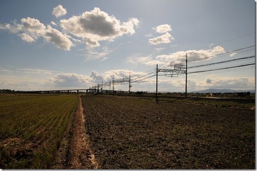 広い田んぼ