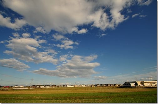 田んぼが広がっている