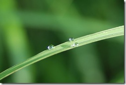 ３つの雫