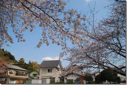 近くの公園