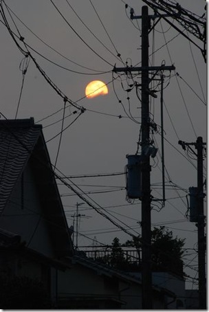 怪しい太陽