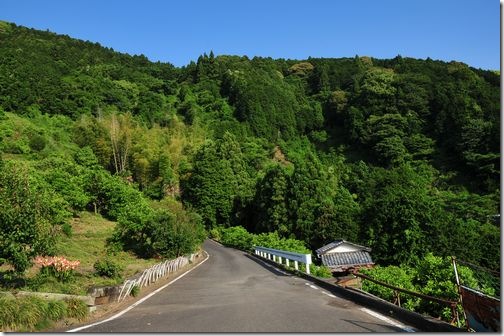 徳願寺山