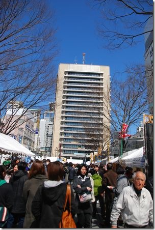 青葉シンボルロードと県庁